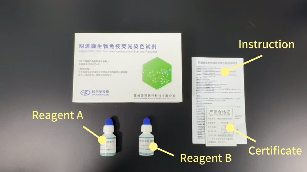 Operation procedure of the vaginal microbial immunofluorescence staining reagent